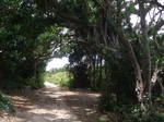 DSCF6112.JPG