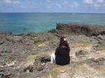 DSCF6122.JPG
