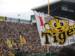 DSCF7353.JPG